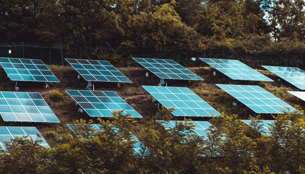 Foto: Moritz Kindler/Unsplash