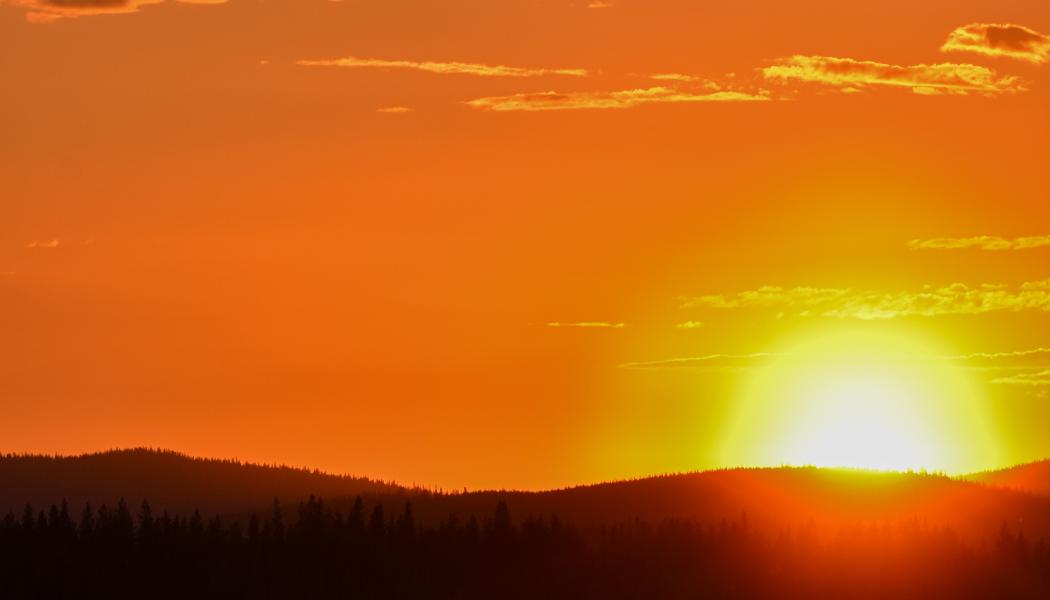 Foto: Niklas Jonasson/Unsplash