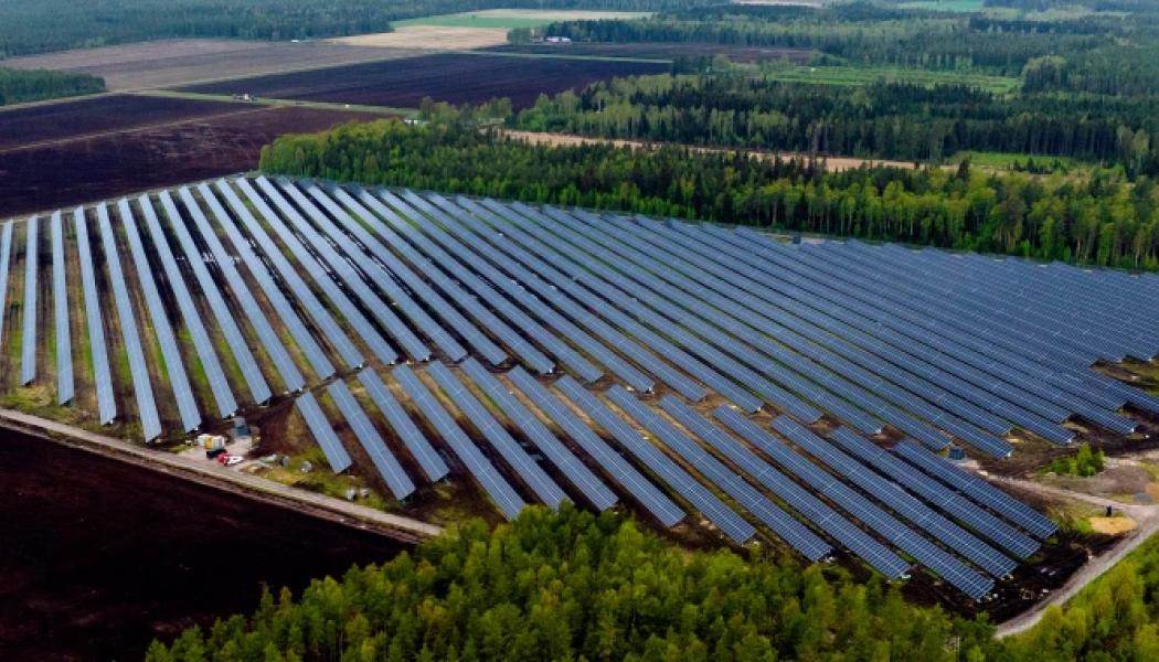 Solenergiparken består av tjugofyra tusen paneler Foto: Solarigo