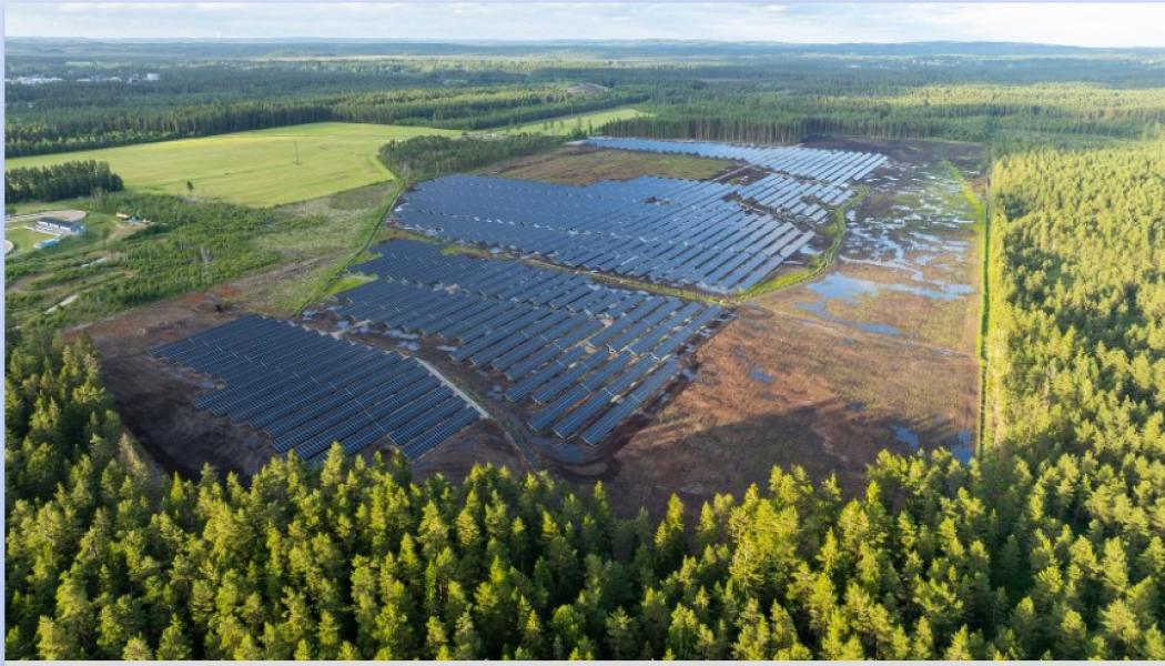 Foto från Henja, Aneos befintliga solkraftverk i Sverige. Foto: Sofia Lewerin. Pressbild Mynewsdesk Aneo