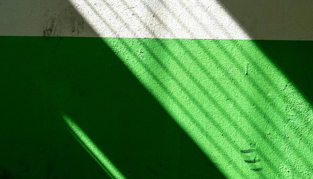 Foto: Samuel Ryde / Unsplash