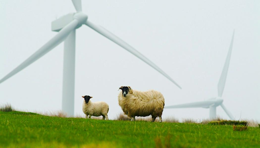 Reglerna för växelriktare har skärpts ytterligare sedan 2018 och gäller numera i hela Europa. Alla nya anläggningar och batterilager måste certifieras för att uppfylla dessa krav.  Foto. Creative Commons Lic, kredit: Keepwakin 