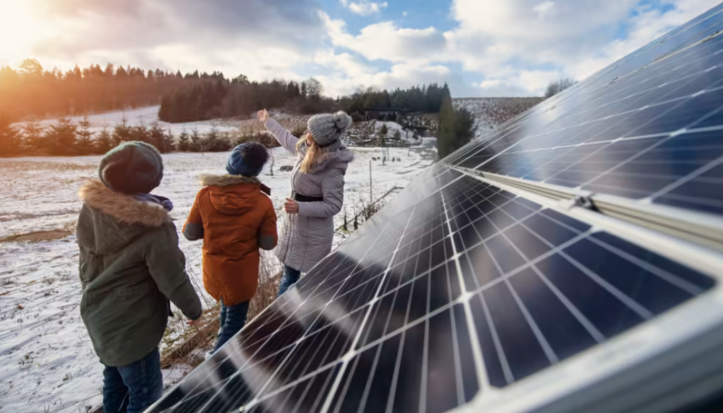 Rekordstort intresse för solceller i Umeåregionen. Foto: Umeå energi