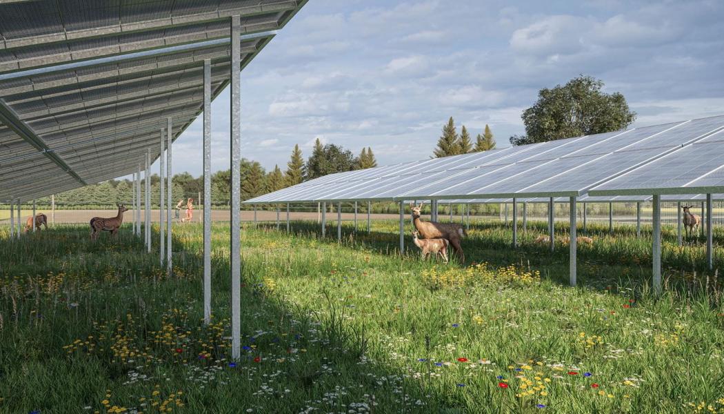 Ørsted bygger unik solpark i hjorthägn i Sötern