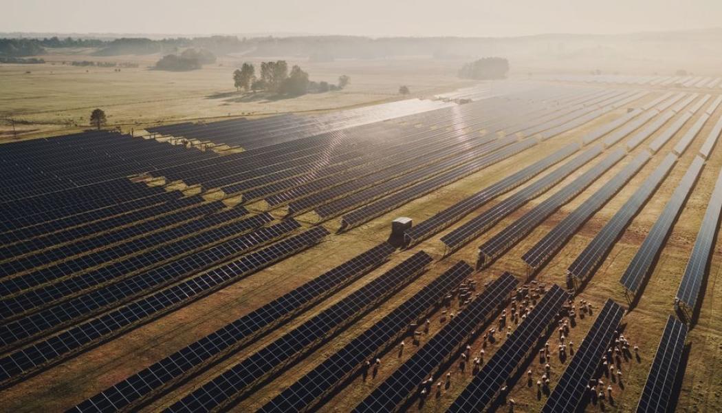 2023 tecknade Arla och Svea Solar Sveriges största elköpsavtal inom solenergi. En del av elen kommer från solparken i Fjällskär utanför Nyköping. Foto: Mikael Tannus/Svea Solar.