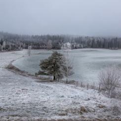 Foto: Landshypotek