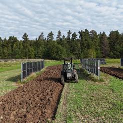 Solpaneler på åkrar kan förändra både energin och jordbruket. Foto: Mälardalens universitet