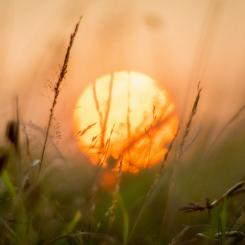 Foto: Ainsley Myles/Unsplash