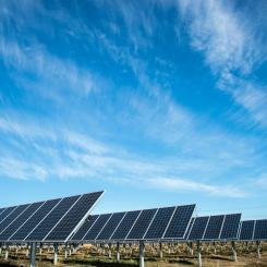 Solpark. Foto:  American Public Power / Unsplash