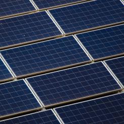 Solceller. Foto: Chirayu Trivedi / Unsplash