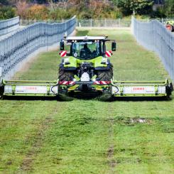 Skörd i agrivoltaisk solpark i tyska Donaueschingen. Foto: Next2Sun