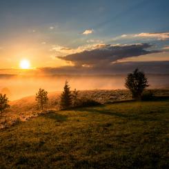 Foto: Dawid Zawiła / Unsplash