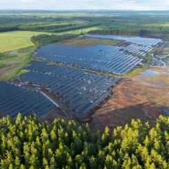 Foto från Henja, Aneos befintliga solkraftverk i Sverige. Foto: Sofia Lewerin.
