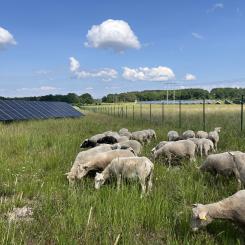 Foto: EnergiEngagemang