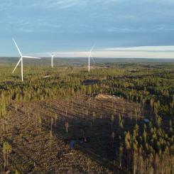 Grevekulla vindpark. Delar av området framför kommer att användas till bygget av solparken. Pressbild: European Energy