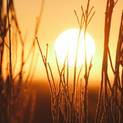 Foto: Jeremy Bishop / Unsplash