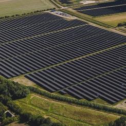 Bild från Alights 215 MWp solpark på Lolland i Danmark.