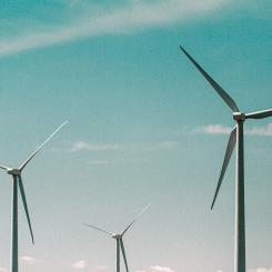 Detta initiativ är ett naturligt resultat av det pågående samarbetet mellan Nätverket för solparker och Svensk Vindenergi. Foto: Mike Setchell / Unsplash
