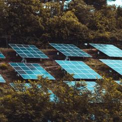 Foto: Moritz Kindler/Unsplash