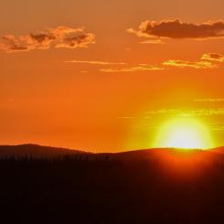 Foto: Niklas Jonasson/Unsplash