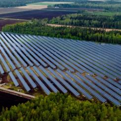 Solenergiparken består av tjugofyra tusen paneler Foto: Solarigo