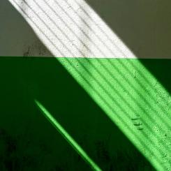Foto: Samuel Ryde / Unsplash