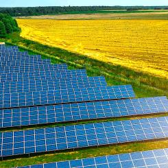 Scioto Ridge Solar är ett solkraftsprojekt på 110 megawatt (MW) med ett batterienergilagringssystem på 20 MW som för närvarande utvecklas i Hardin County, Ohio. Foto: RWE
