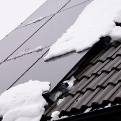 Ägarna begär nu företagsrekonstruktion av Sesol Foto: Adam Ihse