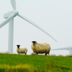 Reglerna för växelriktare har skärpts ytterligare sedan 2018 och gäller numera i hela Europa. Alla nya anläggningar och batterilager måste certifieras för att uppfylla dessa krav.  Foto. Creative Commons Lic, kredit: Keepwakin