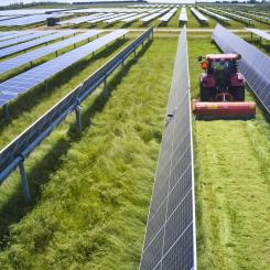 Mat, solel, eller båda två? Frågan om huruvida jordbruksmark ska nyttjas till solcellsparker delar Sverige.  
Foto: European Energy