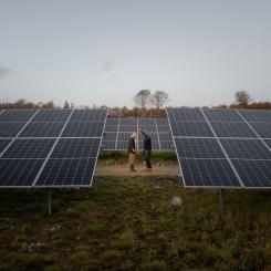 Solenergibranschen har nu nått en mer stabil tillväxtnivå efter rekordåren. Foto: Turn Energy