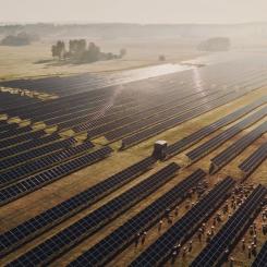 2023 tecknade Arla och Svea Solar Sveriges största elköpsavtal inom solenergi. En del av elen kommer från solparken i Fjällskär utanför Nyköping. Foto: Mikael Tannus/Svea Solar.