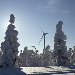I slutet av juni 2023 var Finlands vindkraftskapacitet 6 116 megawatt (MW). Foto: Finlands Vindkraftsförbund
